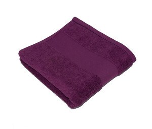 Bear Dream CT4500 - Guest Towel