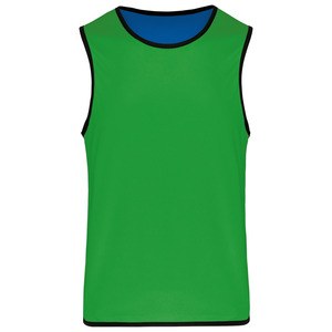 Proact PA046 - Kids' reversible rugby bib Sporty Royal Blue / Green