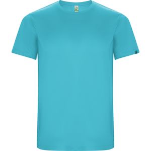 Roly CA0427 - IMOLA Technical short-sleeve t-shirt in recycled CONTROL-DRY polyester