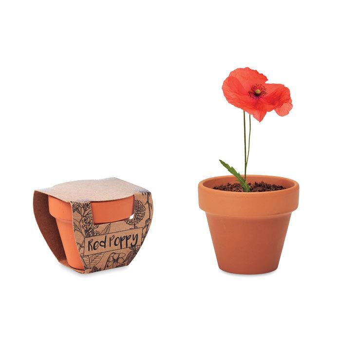 GiftRetail MO6148 - RED POPPY Terracotta pot 'poppy'