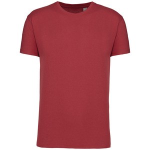 Kariban K3025IC - Men's BIO150IC crew neck t-shirt Terracotta Red