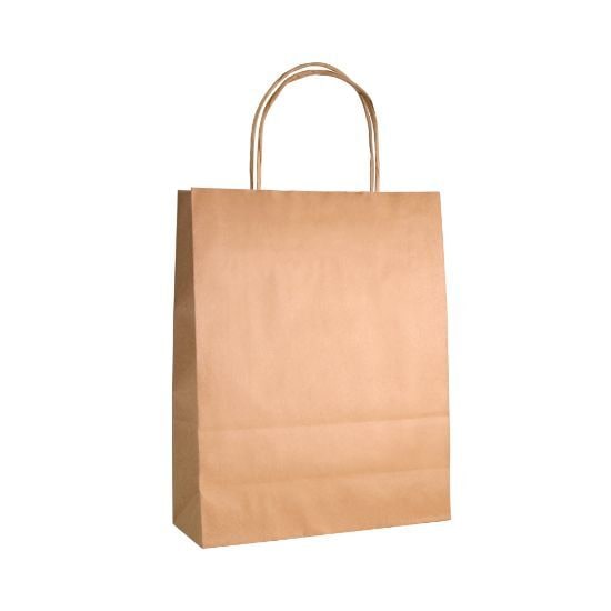 EgotierPro 39023 - 90 gr/m2 Paper Bag with Twisted Handles