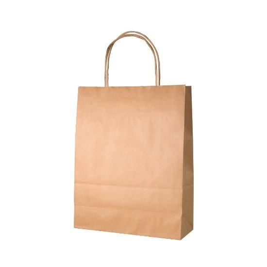 EgotierPro 39023 - 90 gr/m2 Paper Bag with Twisted Handles